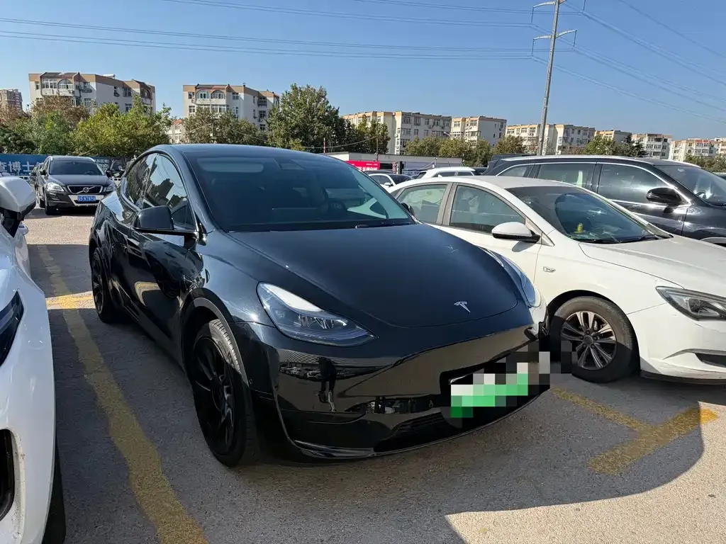 Tesla Model Y — фото 10