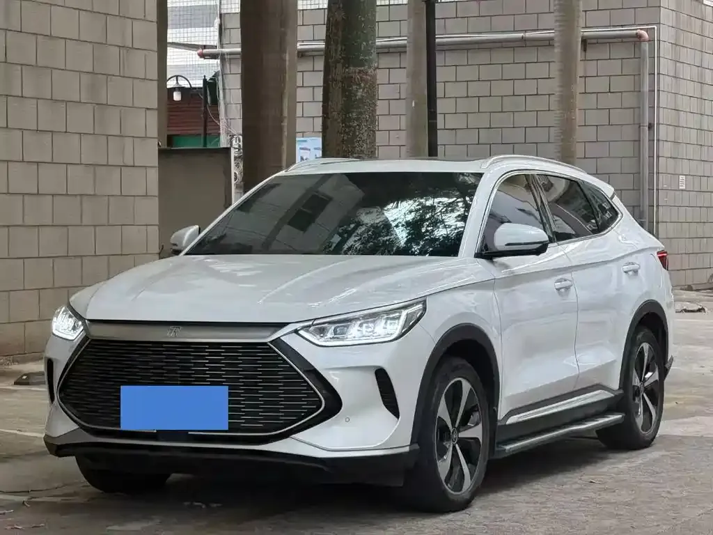 BYD PLUS New Energy — фото 1