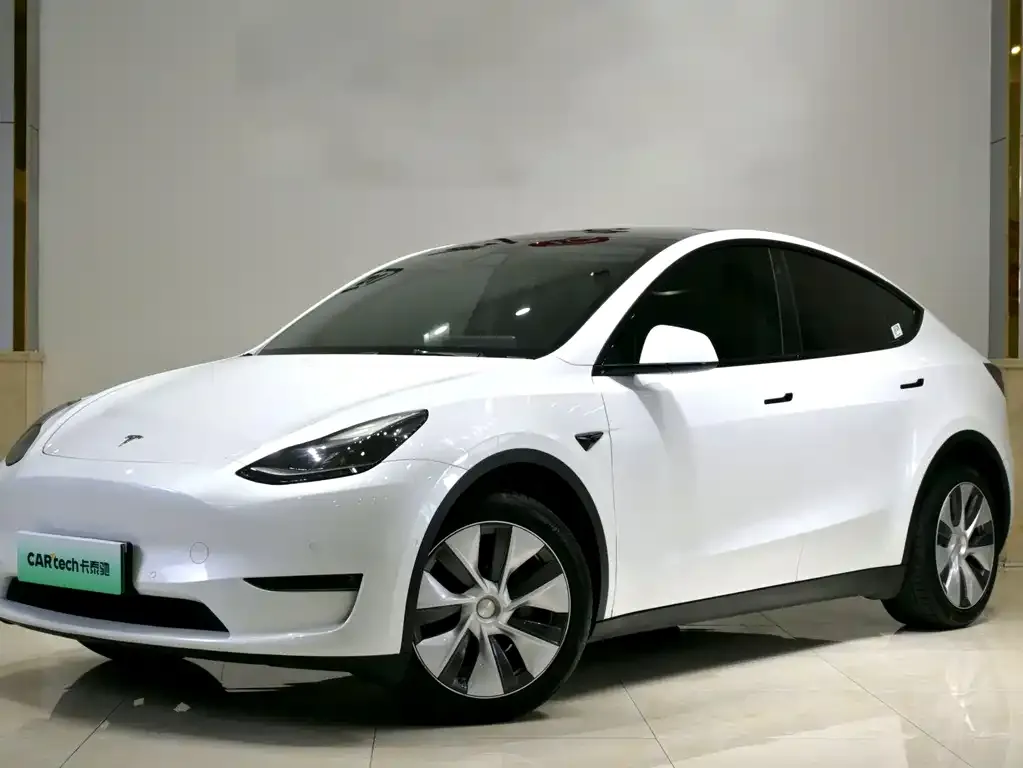 Tesla Model Y — фото 1
