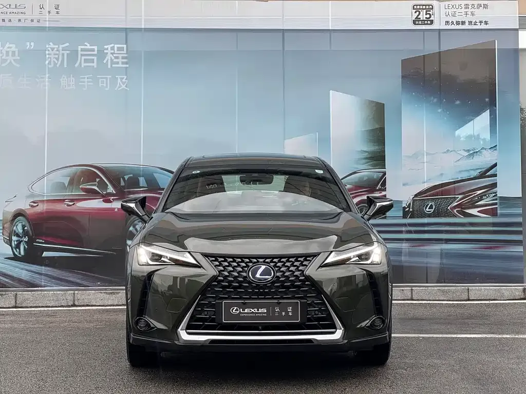 Lexus UX New Energy — фото 5