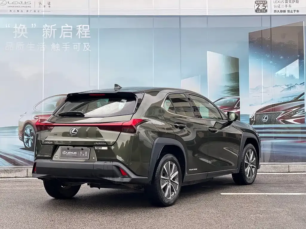 Lexus UX New Energy — фото 6