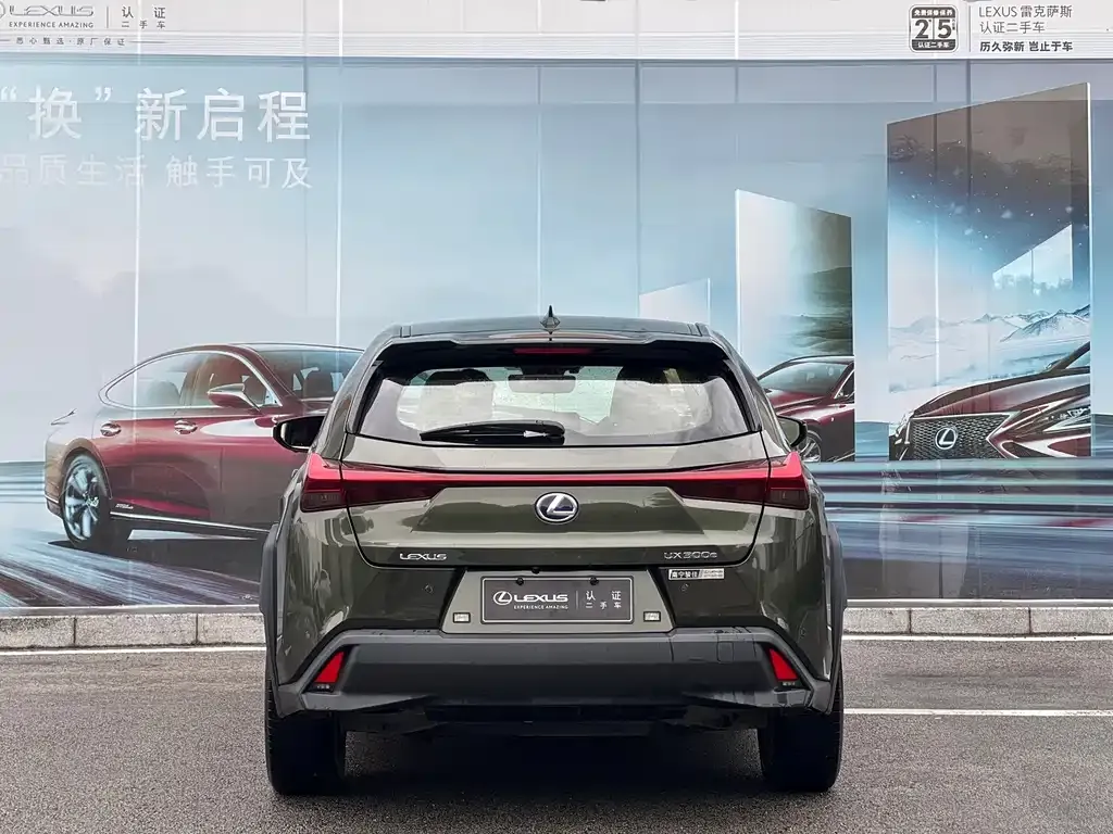 Lexus UX New Energy — фото 9