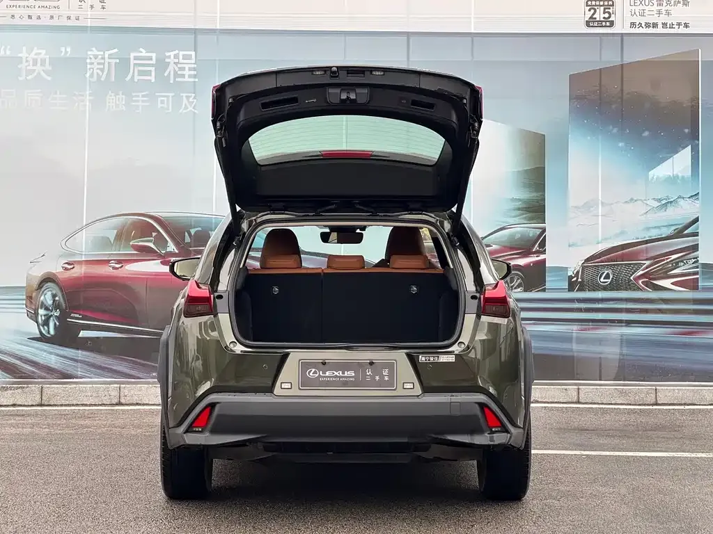 Lexus UX New Energy — фото 8