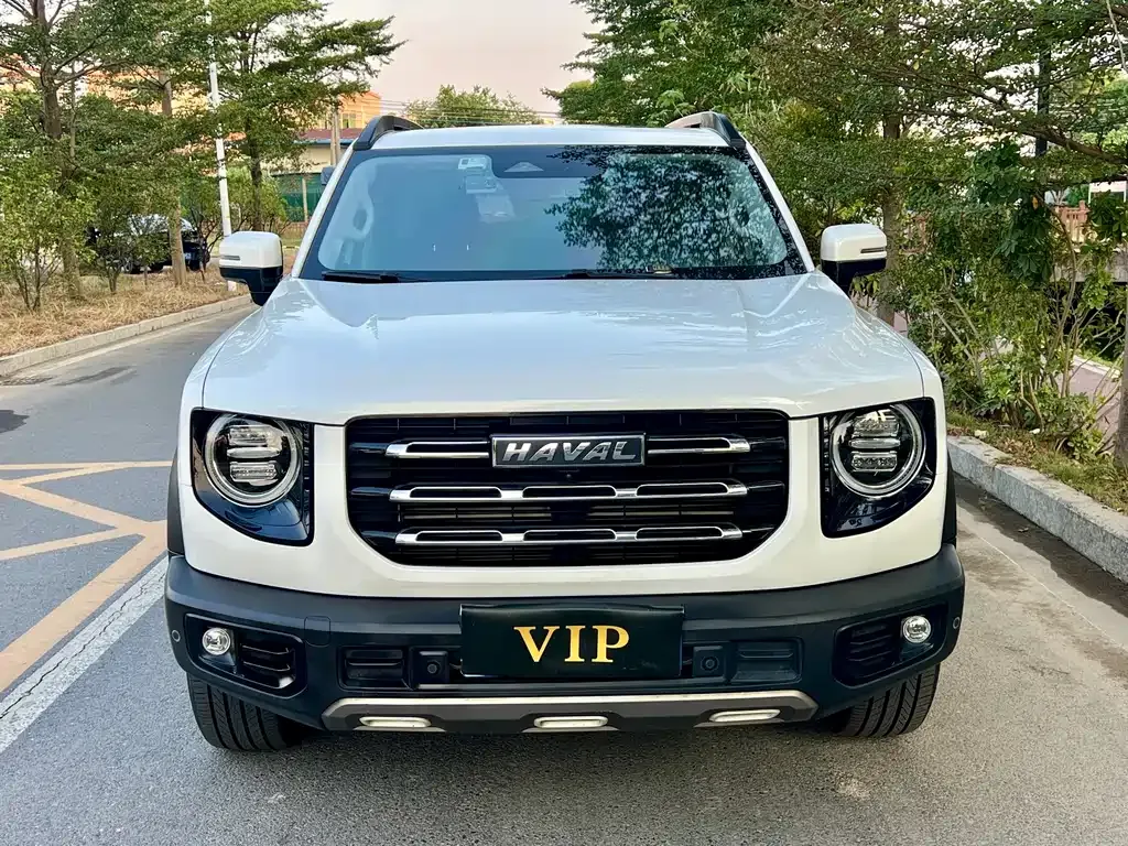 Haval Big Dog — фото 6
