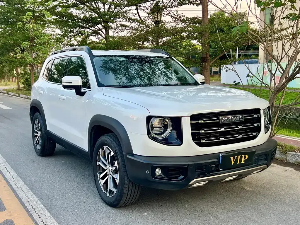 Haval Big Dog — фото 8
