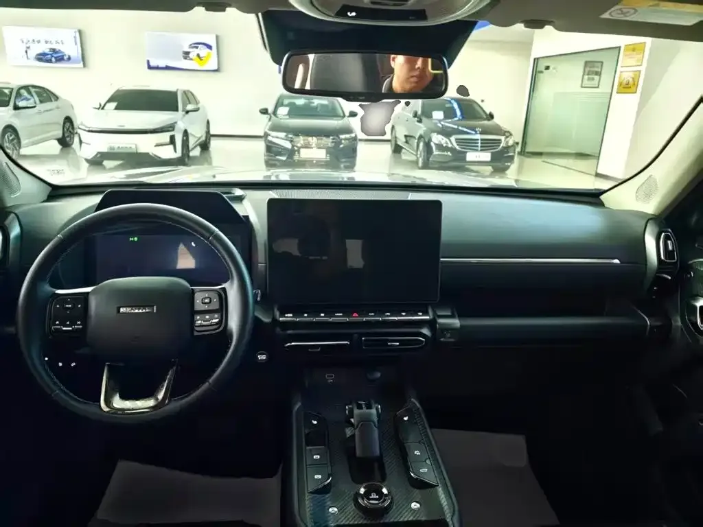 Haval Big Dog PLUS New Energy — фото 9