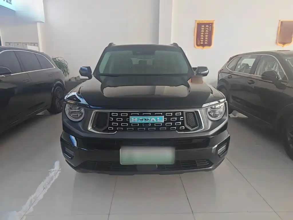 Haval Big Dog PLUS New Energy — фото 6