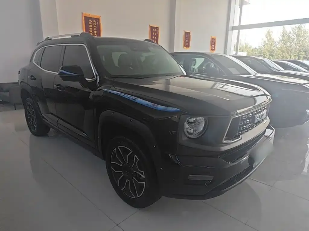 Haval Big Dog PLUS New Energy — фото 7