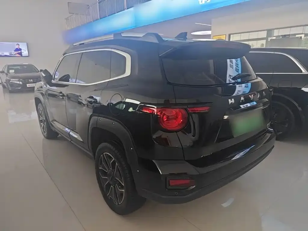 Haval Big Dog PLUS New Energy — фото 8