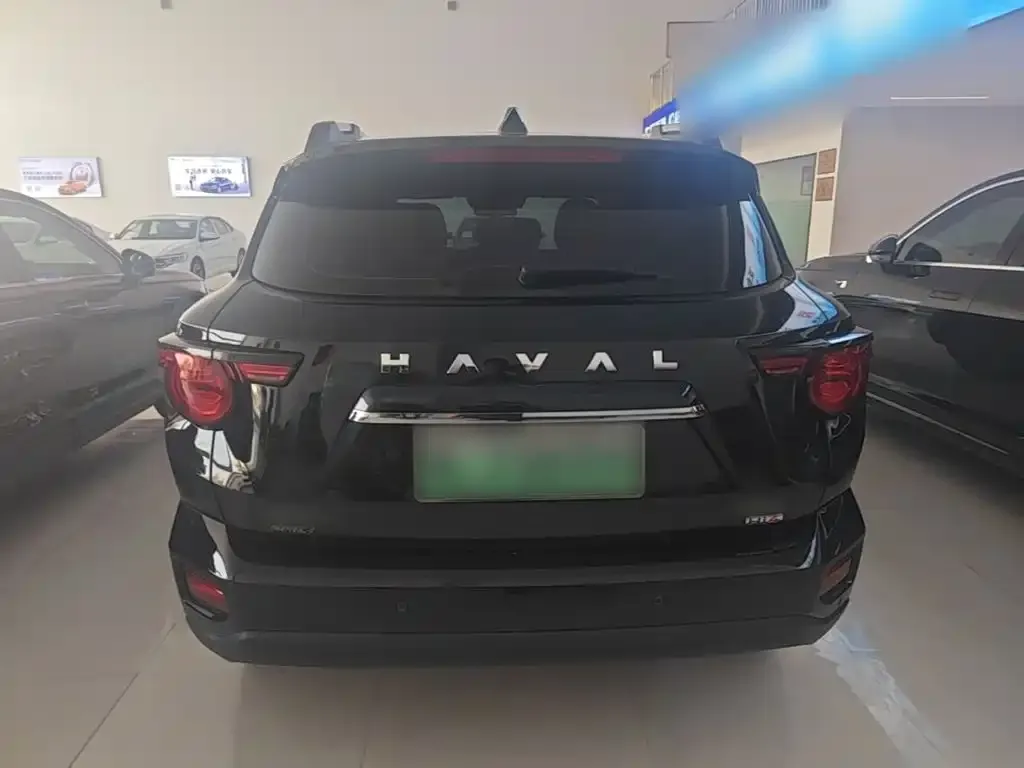 Haval Big Dog PLUS New Energy — фото 2