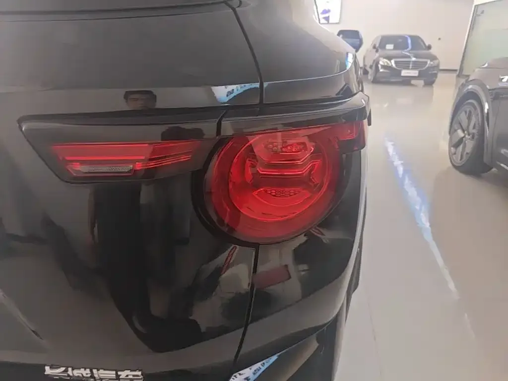 Haval Big Dog PLUS New Energy — фото 10