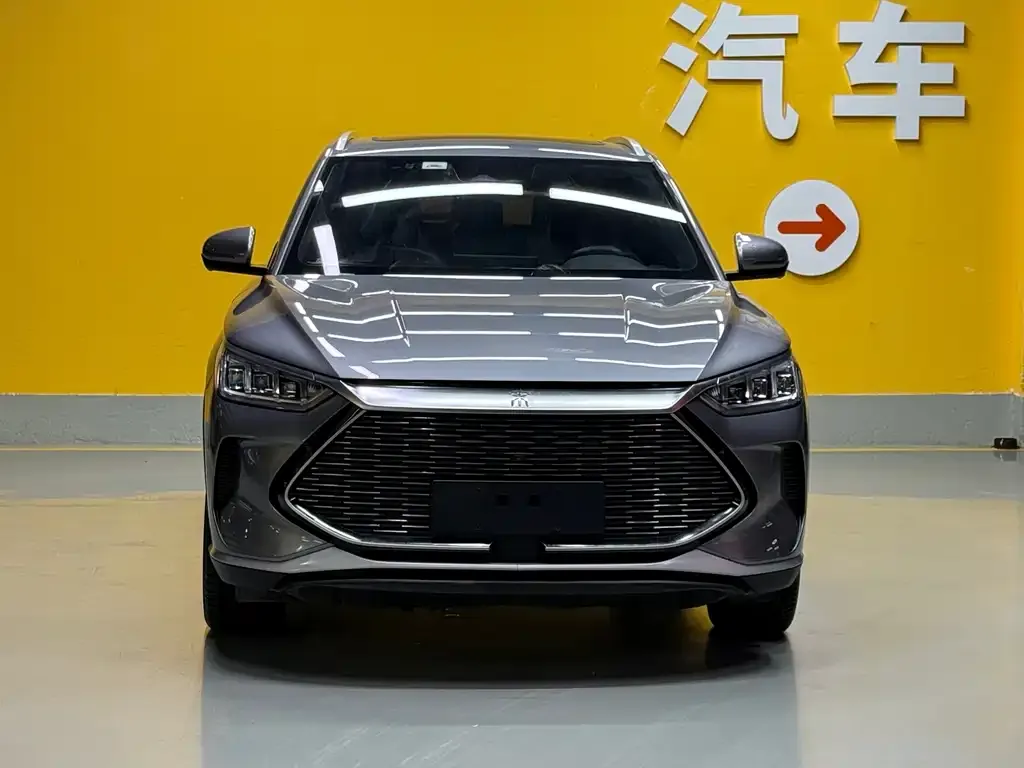 BYD PLUS New Energy — фото 3