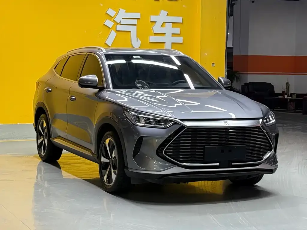 BYD PLUS New Energy — фото 2