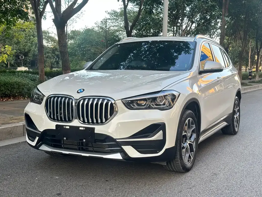 BMW X1 — фото 1