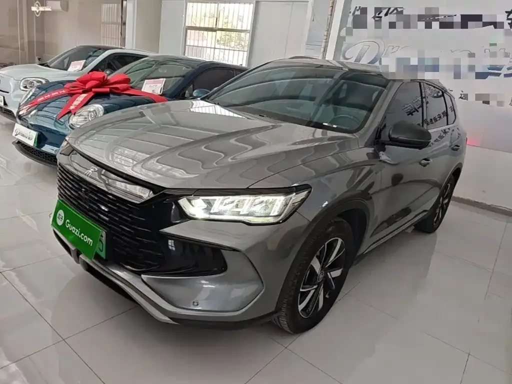 BYD Pro New Energy — фото 1