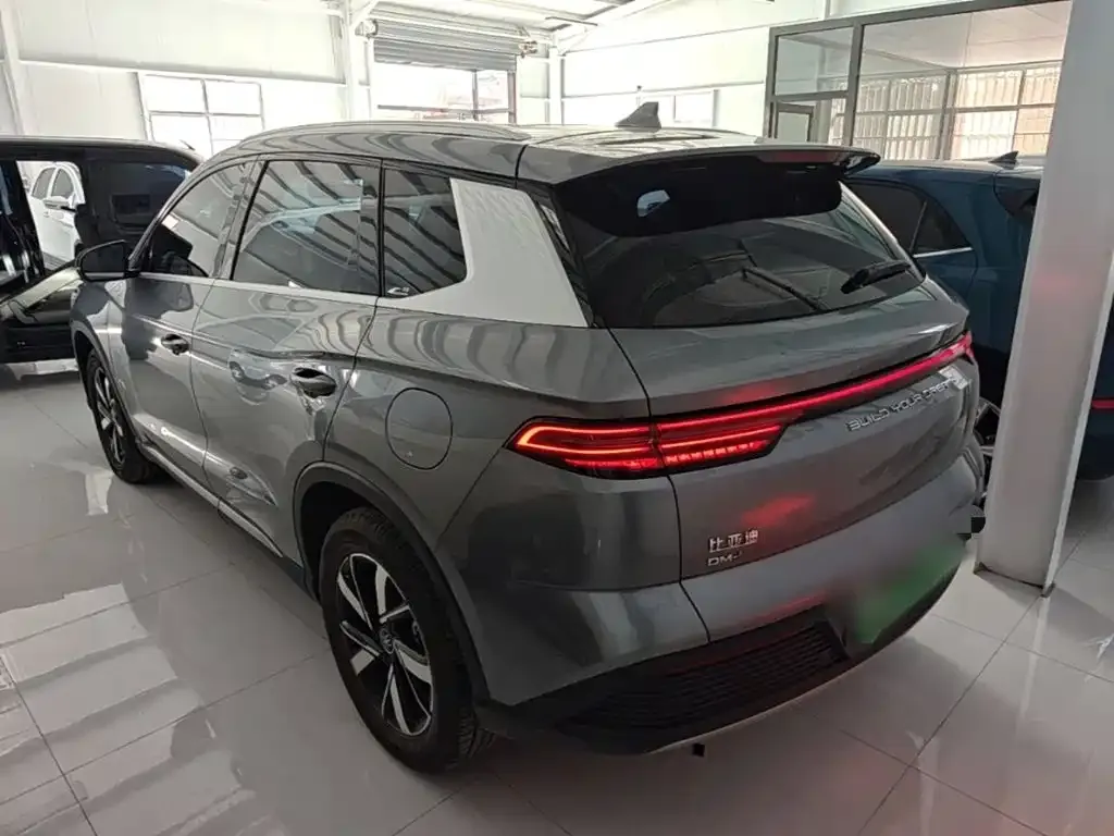 BYD Pro New Energy — фото 9