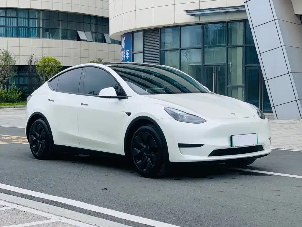 Tesla Model Y — фото 10