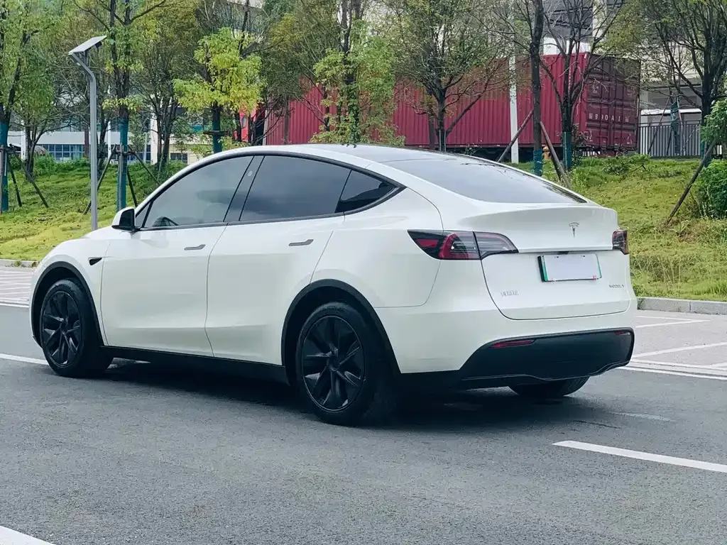 Tesla Model Y — фото 8