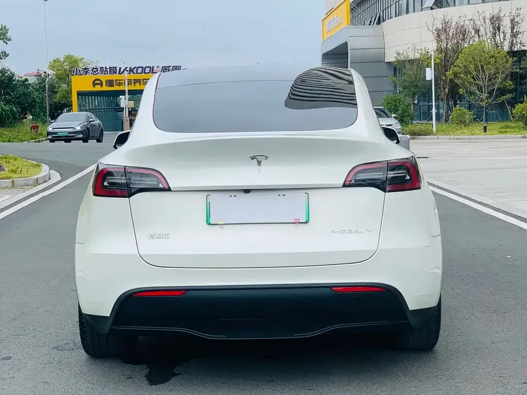 Tesla Model Y — фото 9