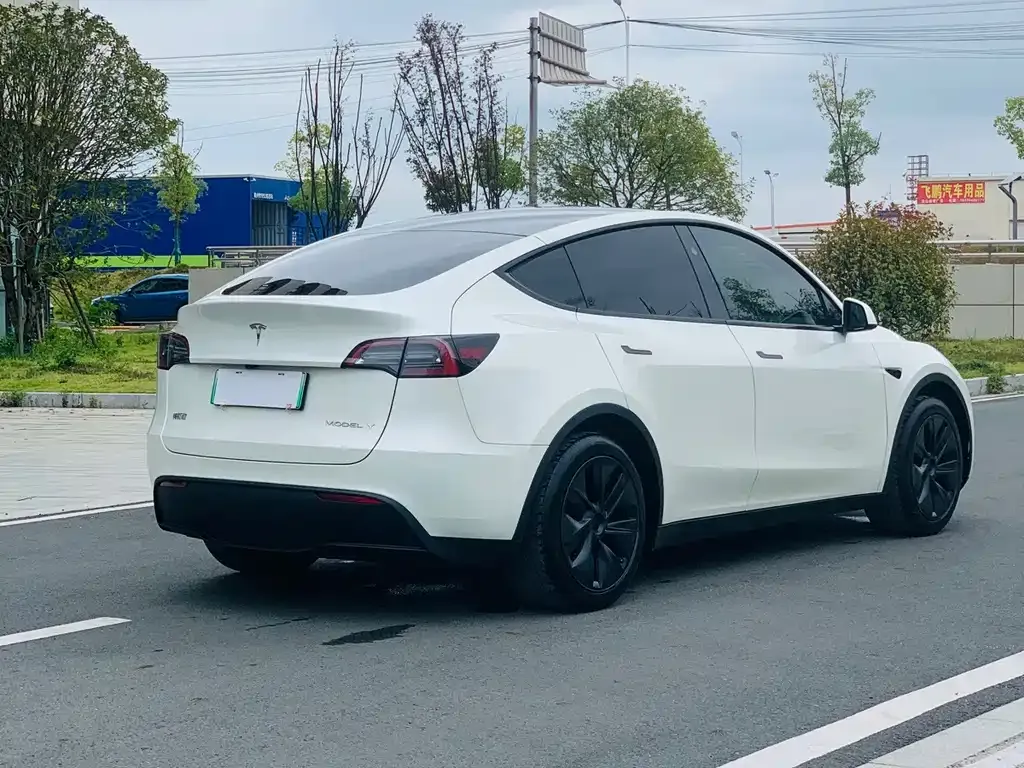 Tesla Model Y — фото 5