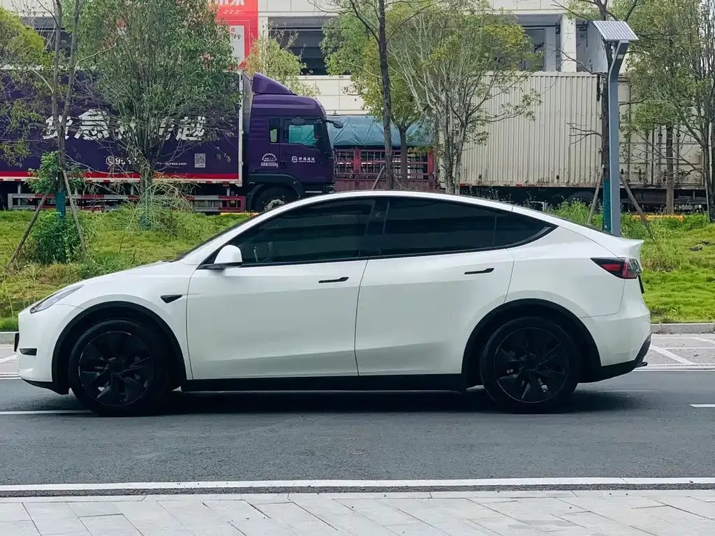 Tesla Model Y — фото 3