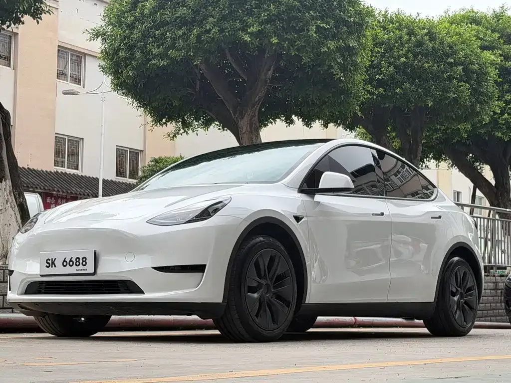Tesla Model Y — фото 1