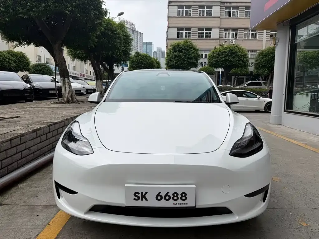 Tesla Model Y — фото 5