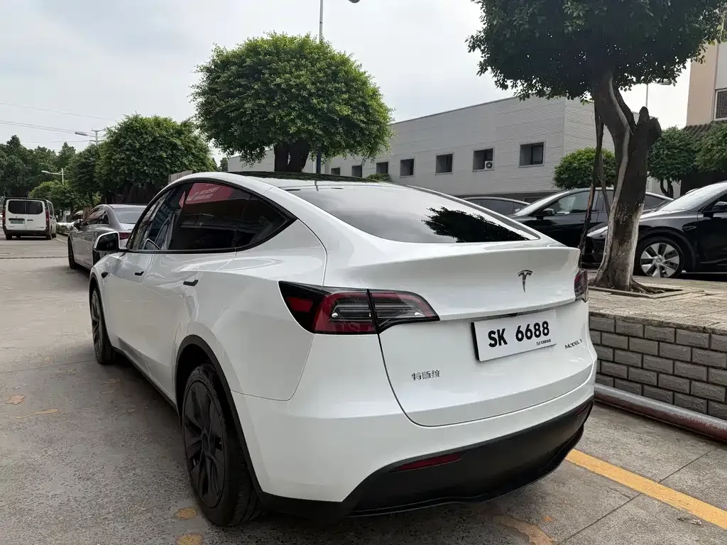 Tesla Model Y — фото 10