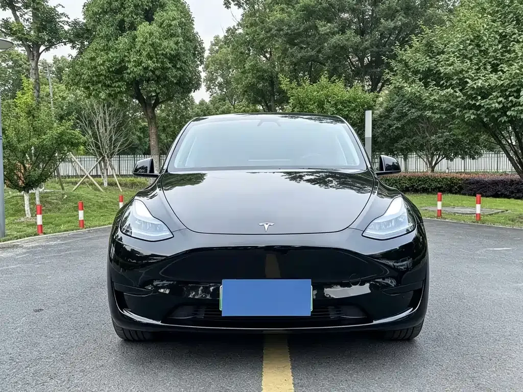 Tesla Model Y — фото 7
