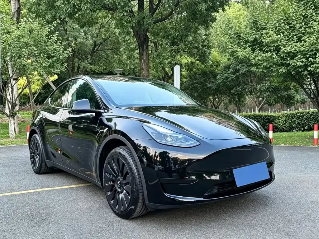 Tesla Model Y — фото 8