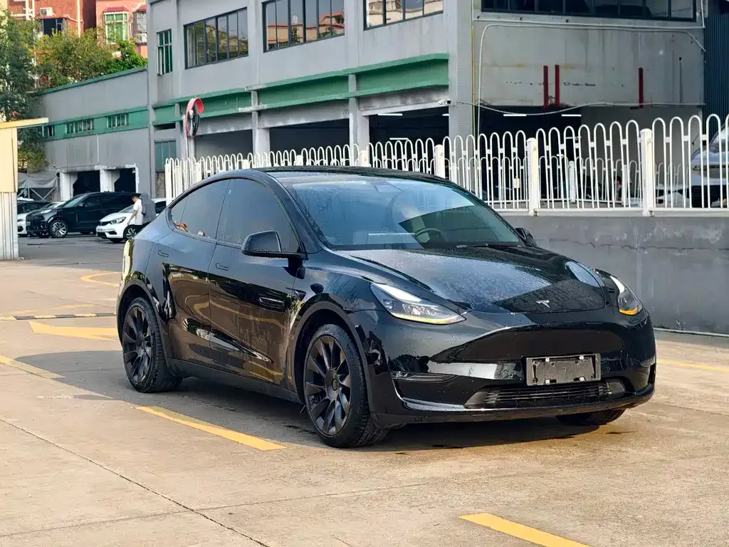 Tesla Model Y — фото 5