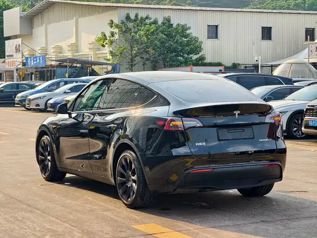 Tesla Model Y — фото 10