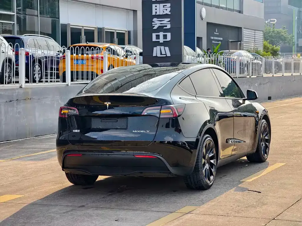 Tesla Model Y — фото 9