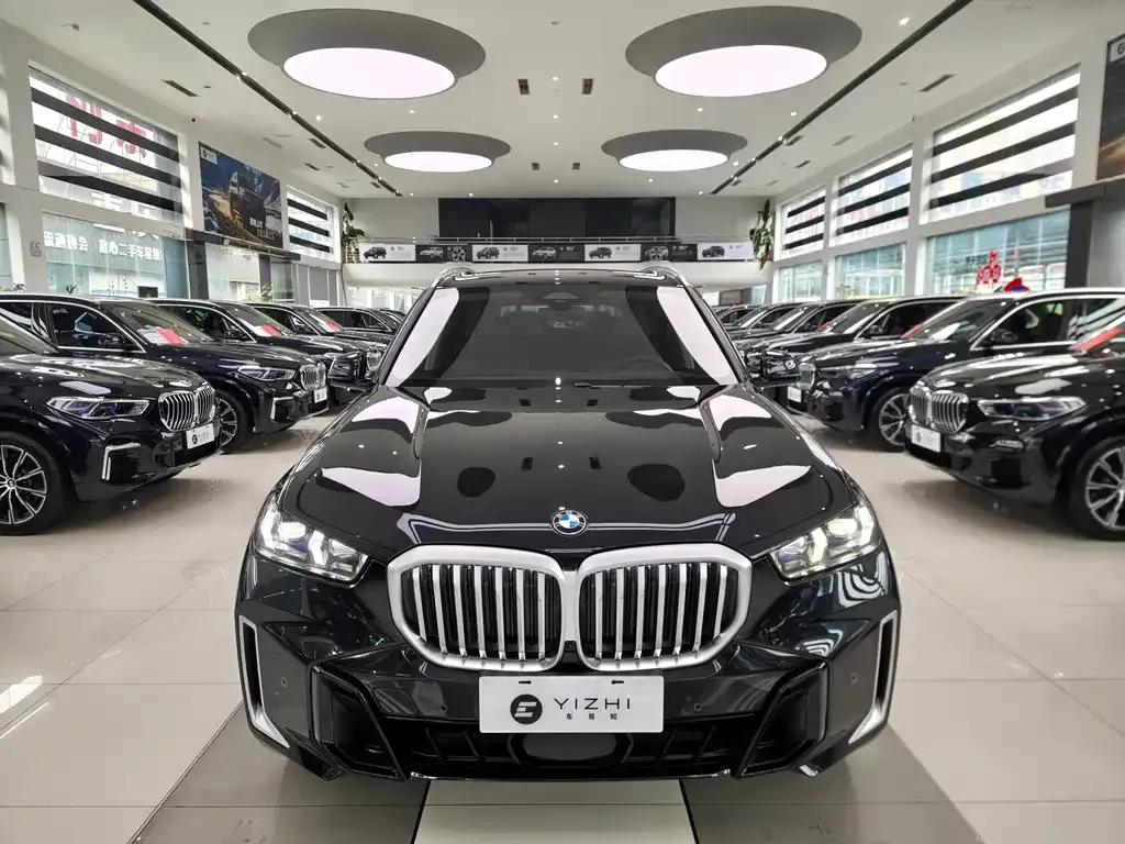 BMW X5 — фото 10