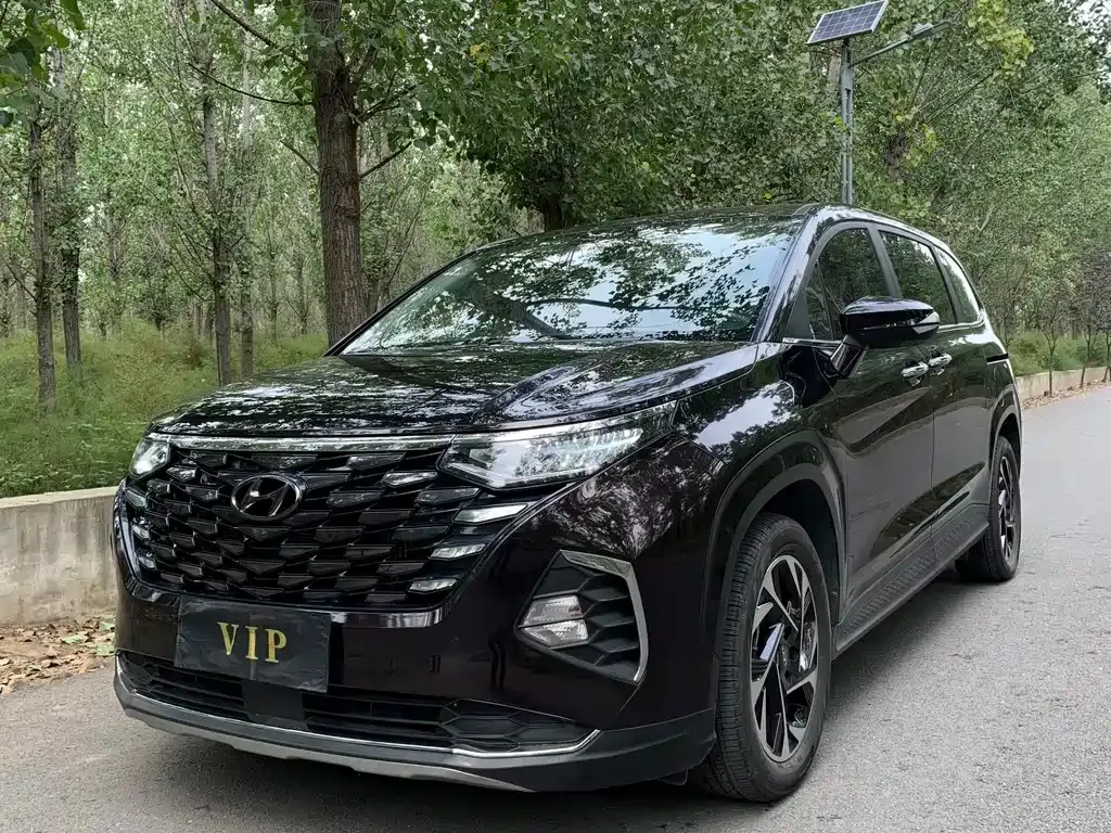 Hyundai Custo — фото 1