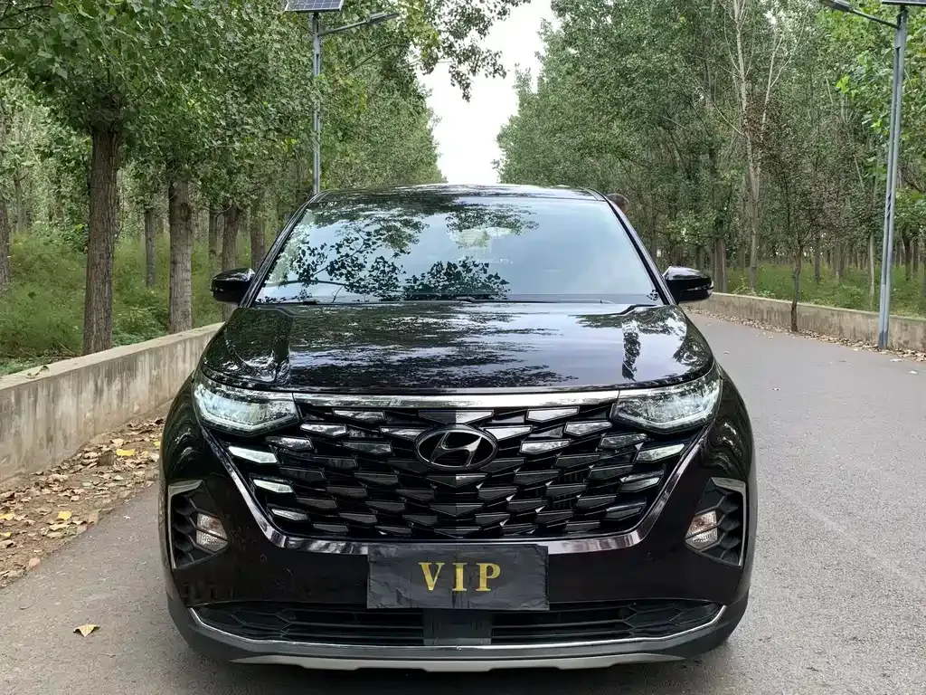 Hyundai Custo — фото 10