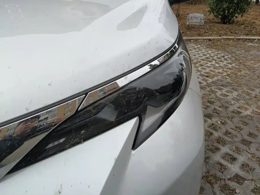 Toyota Sienna — фото 10