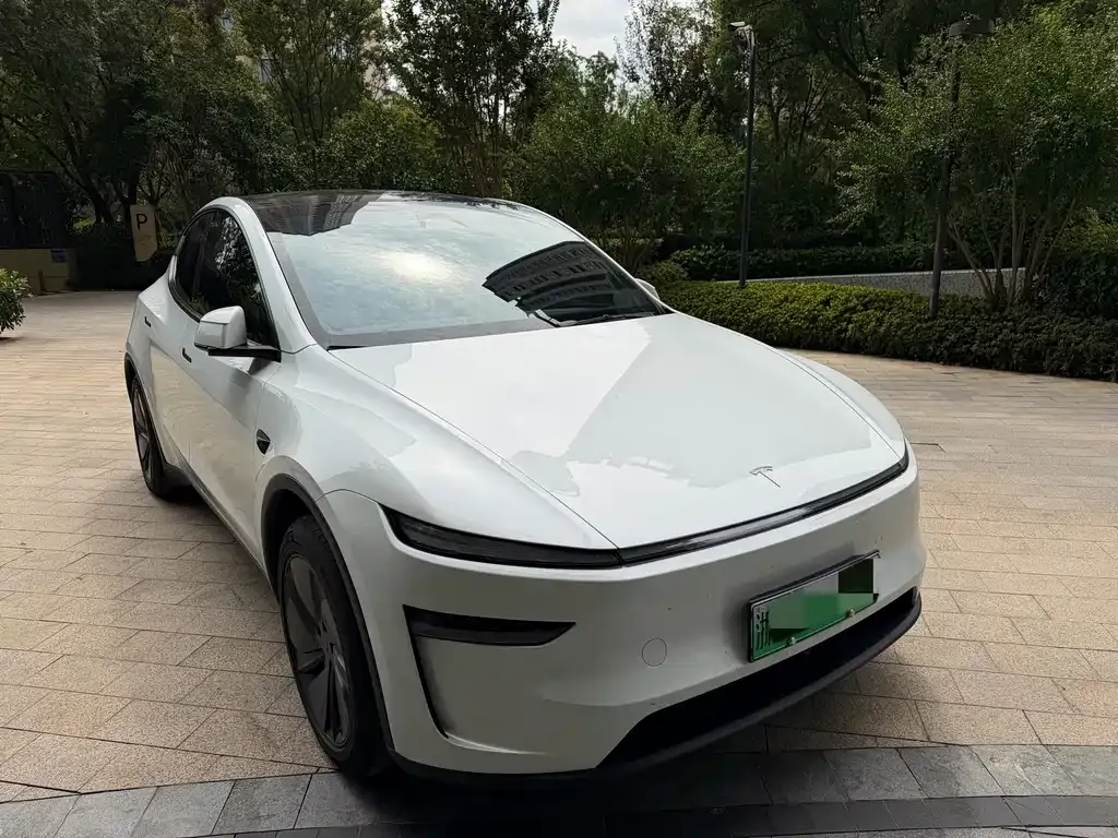 Tesla Model Y — фото 9