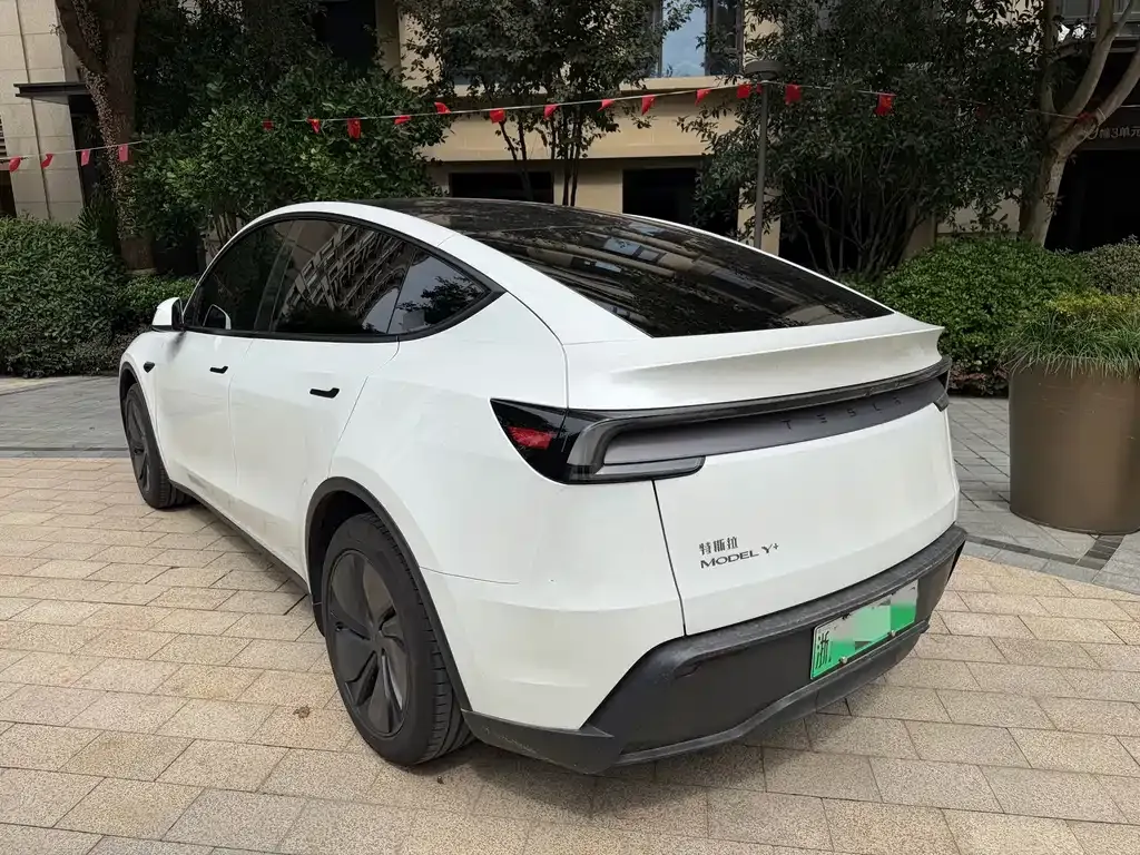Tesla Model Y — фото 10