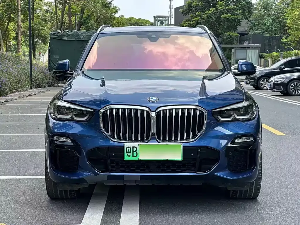 BMW X5 New Energy (Import) — фото 1