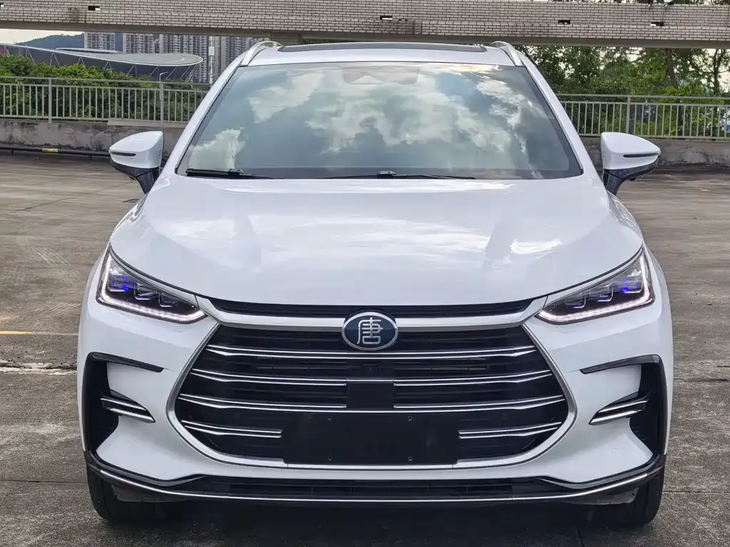 BYD Tang New Energy — фото 10