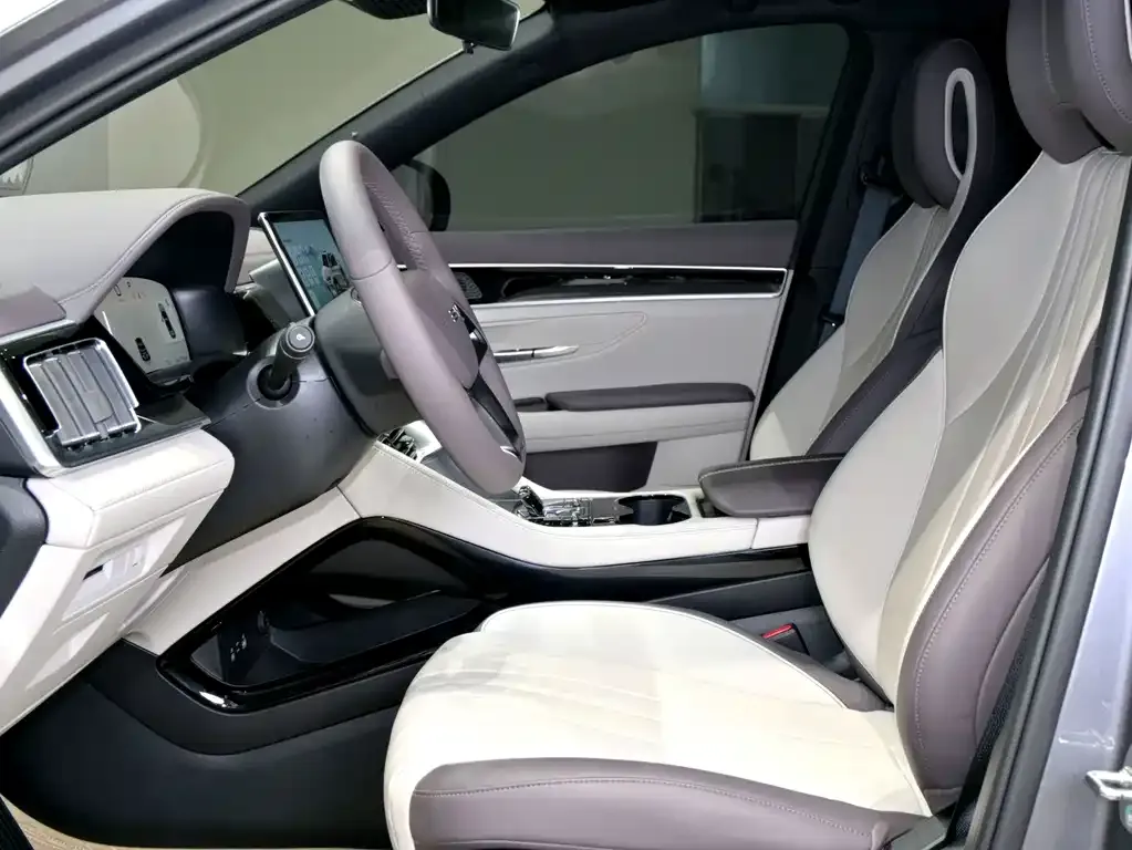 BYD PLUS New Energy — фото 10