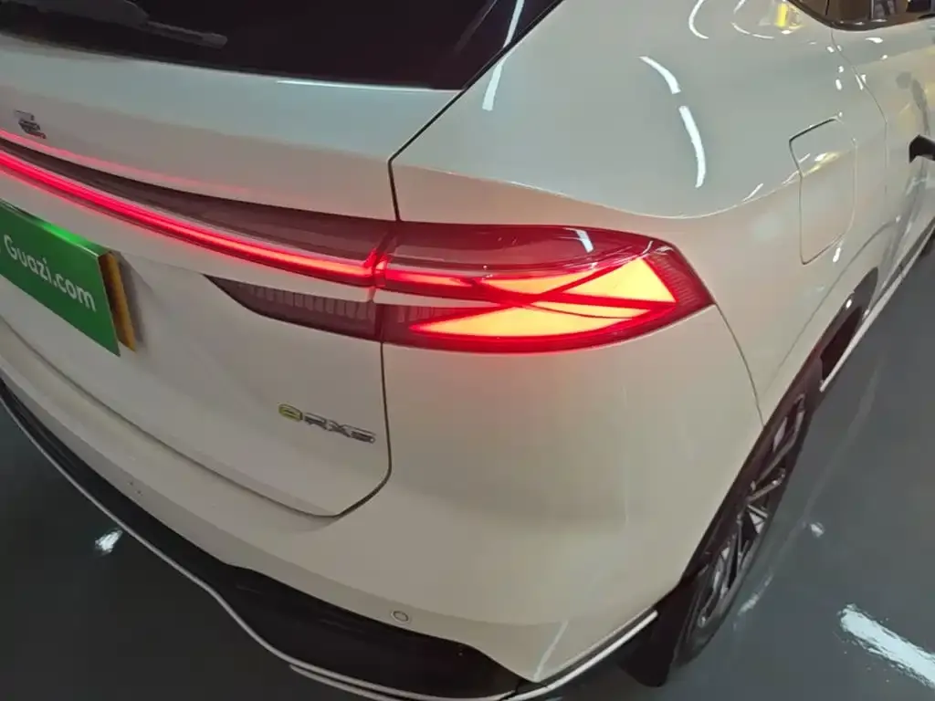 Roewe RX5 New Energy — фото 9