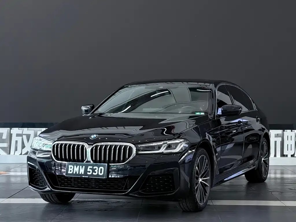 BMW 5 Series — фото 1