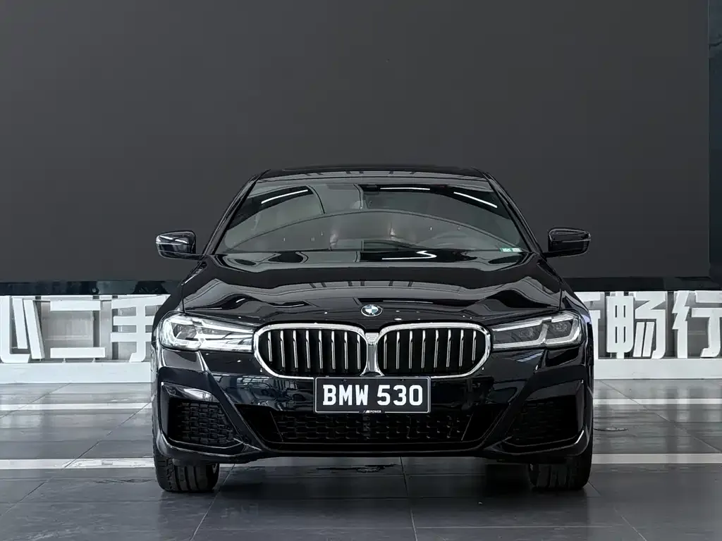 BMW 5 Series — фото 3