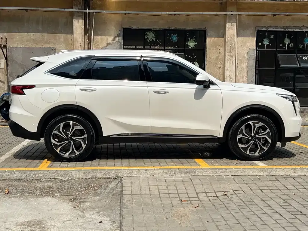 Haval Xiaolong MAX — фото 6
