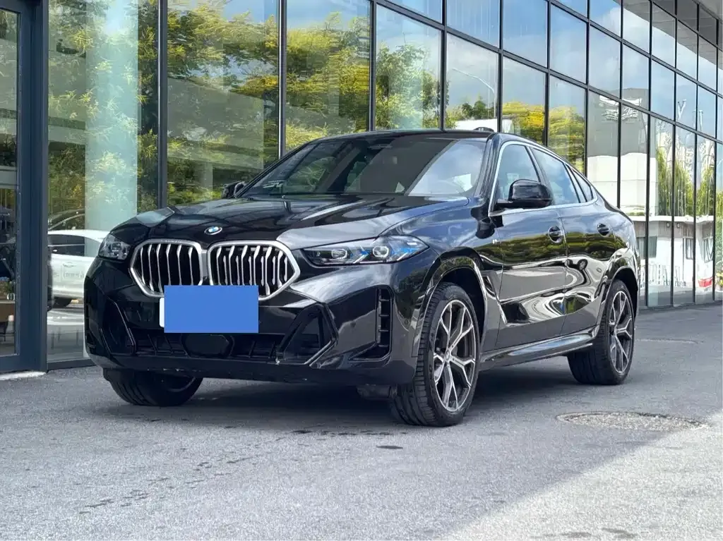 BMW X6 — фото 1