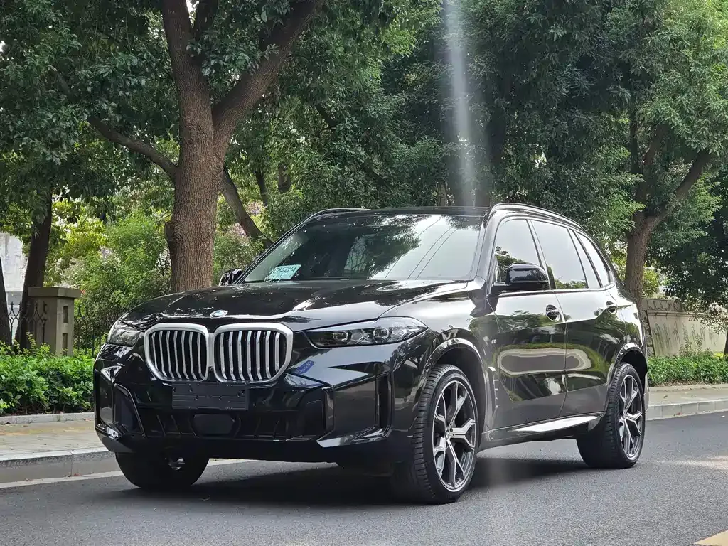 BMW X5 — фото 1
