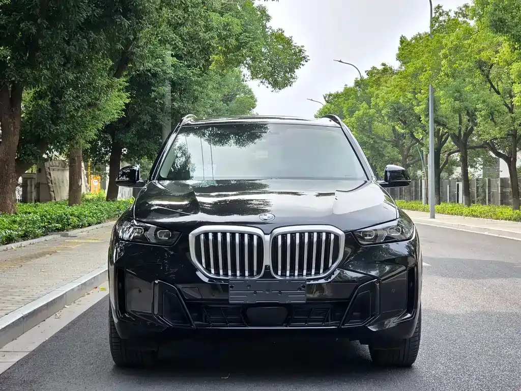 BMW X5 — фото 9