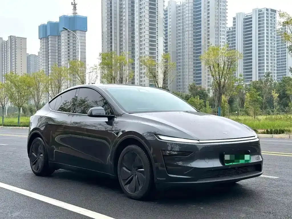 Tesla Model Y — фото 4